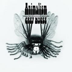 Grey Mouse (Грей Маус): Animalism