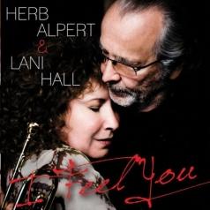 Herb Alpert (Герб Алперт): I Feel You