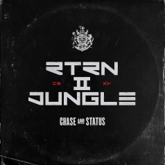 Chase & Status (Чейз энд статус): Return II Jungle