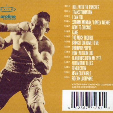 Roll With The Punches Van Morrison (Ван Моррисон): Roll With The Punches