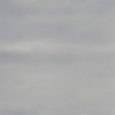 Roses In The Snow Emmylou Harris (Харрис Эммилу): Roses In The Snow