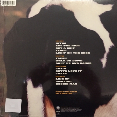 Get A Grip Aerosmith (Аэросмит): Get A Grip