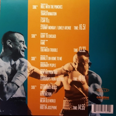 Roll With The Punches Van Morrison (Ван Моррисон): Roll With The Punches