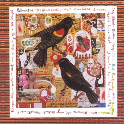 Just An American Boy (Live) Steve Earle (Стив Эрл): Just an American Boy (Live)