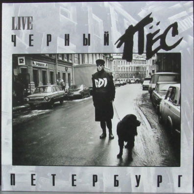 Черный пёс Петербург ДДТ: Черный пёс Петербург