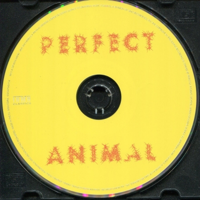 Becca Stevens (Бекка Стивенс): Perfect Animal