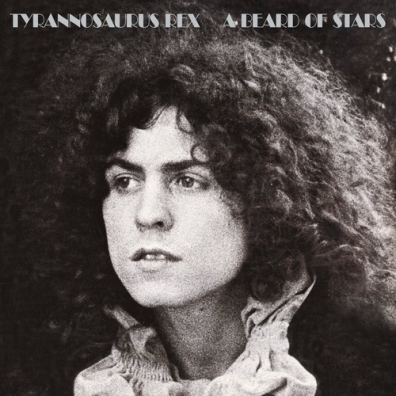A Beard Of Stars T.Rex: A Beard Of Stars