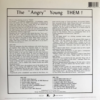 The Angry Young Them Them (Зем): The Angry Young Them