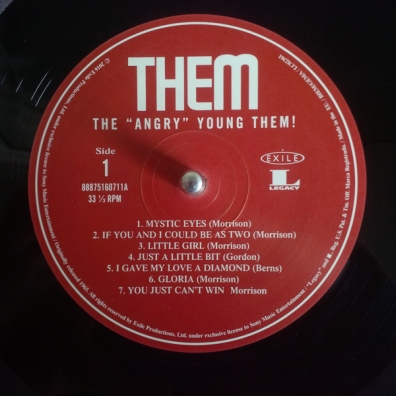 The Angry Young Them Them (Зем): The Angry Young Them