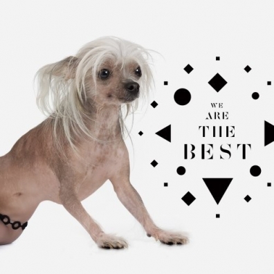 We Are The Best The Chap (Зе Чамп): We Are The Best