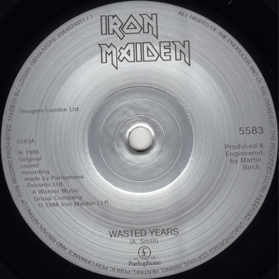 Iron Maiden (Айрон Мейден): Wasted Years