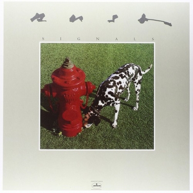 Signals Rush: Signals