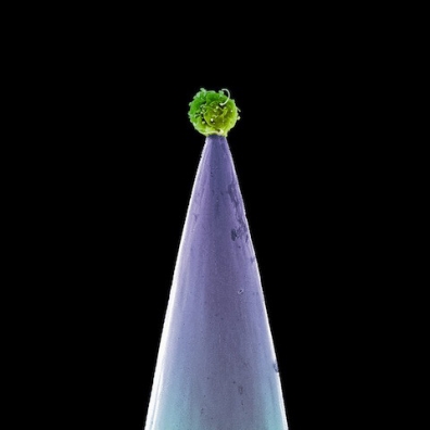 New Blood Peter Gabriel (Питер Гэбриэл): New Blood