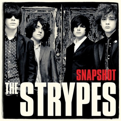 Strypes: Snapshot