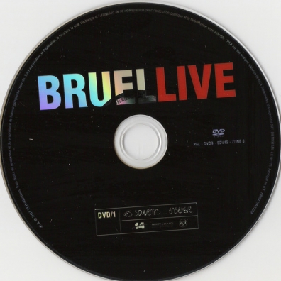 Patrick Bruel (Патрик Брюэль): Bruel Live - Des Souvenirs... Ensemble