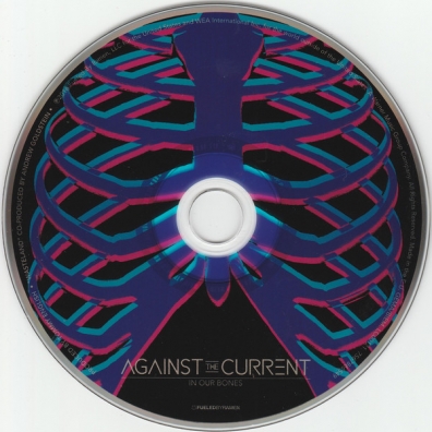 In Our Bones Against The Current: In Our Bones