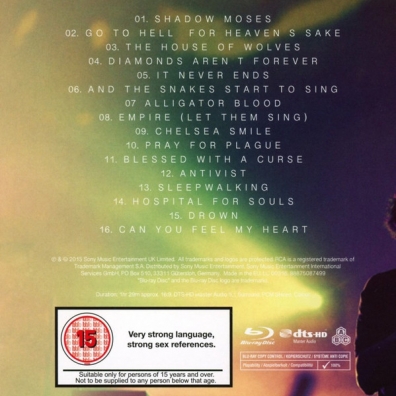 Bring Me The Horizon (Бринг Ми Зе Хоризон): Live At Wembley Arena