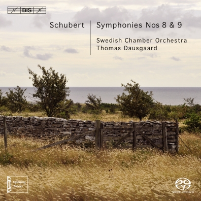 Swedish Chamber Orchestra (Шведский камерный оркестр): Sinfonien 8 und 9
