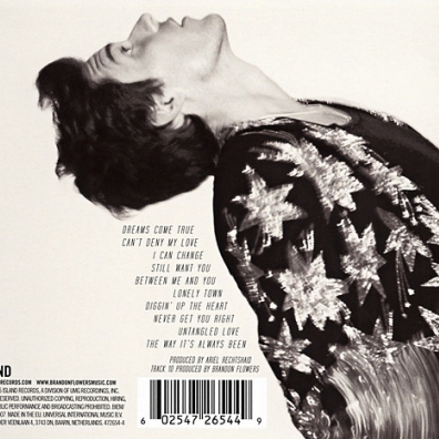 The Desired Effect Brandon Flowers (Брэндон Флауэрс): The Desired Effect