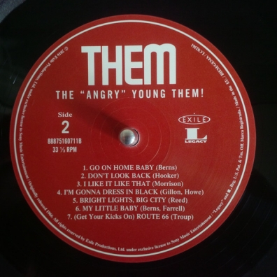 The Angry Young Them Them (Зем): The Angry Young Them