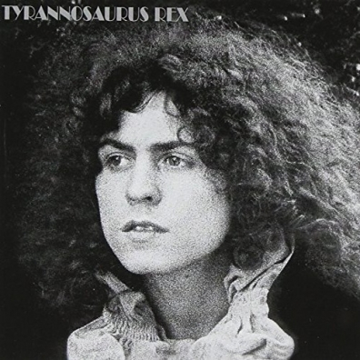 A Beard Of Stars T. Rex: A Beard Of Stars