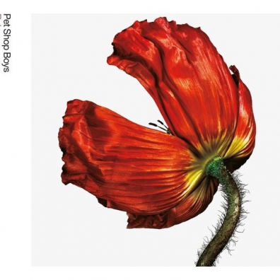Release Pet Shop Boys (Пет Шоп Бойс): Release