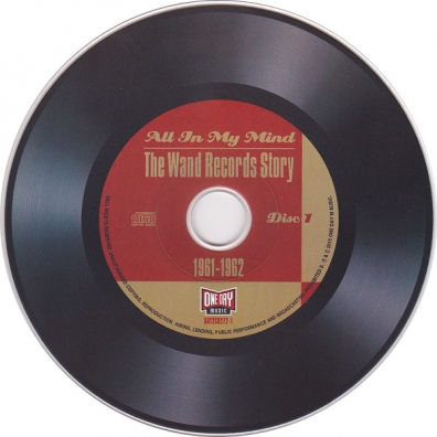 All In My Mind: The Wand Records Story 61 -62 Various artist: All In My Mind: The Wand Records Story 61 -62