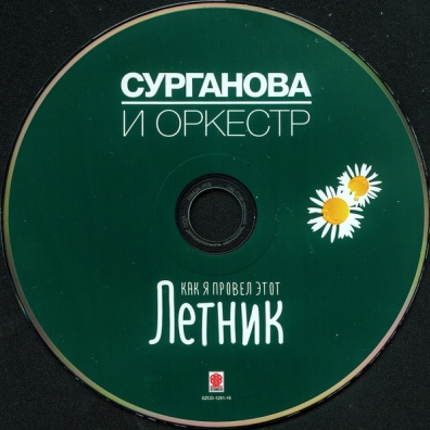 Как Я Провел Этот Летник Сурганова и Оркестр: Как Я Провел Этот Летник