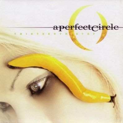 Thirteenth Step A Perfect Circle (А перфект циркл): Thirteenth Step