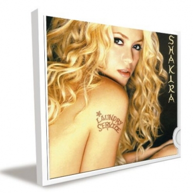 Shakira (Шакира): Laundry Service