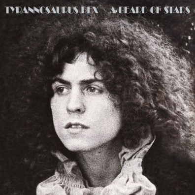 A Beard Of Stars T. Rex: A Beard Of Stars