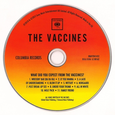The Vaccines: What Did You Expect From The Vaccines?