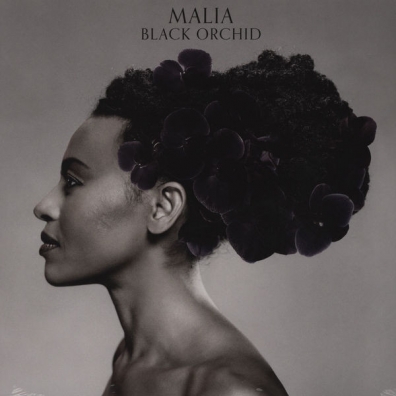 Malia (Малия): Black Orchid