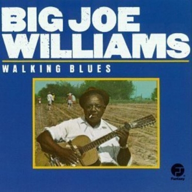 Big Joe Williams (Биг Джо Уильямс): Walking Blues
