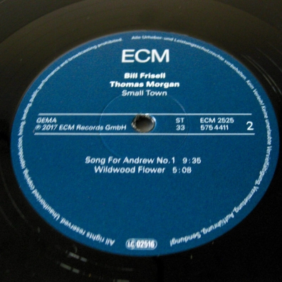 Small Town Bill Frisell (Билл Фриселл): Small Town