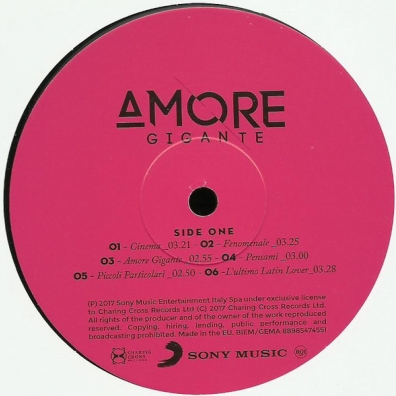 Amore Gigante Gianna Nannini (Джанна Наннини): Amore Gigante