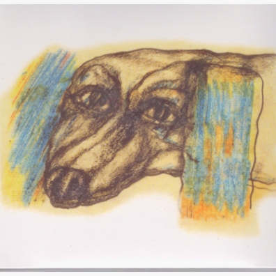 Звезда Дельфин: Звезда