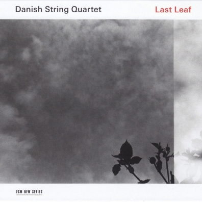 Danish String Quartet (Даниш Стринг Квартет): Last Leaf