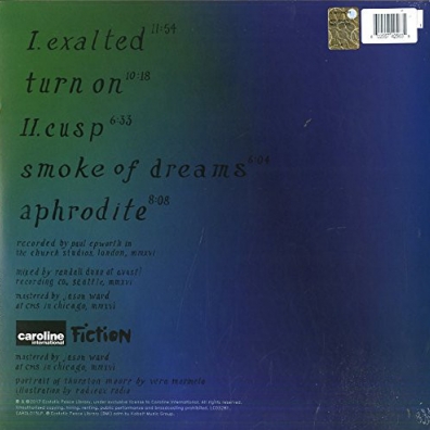Rock N Roll Consciousness Thurston Moore (Тёрстон Мур): Rock N Roll Consciousness