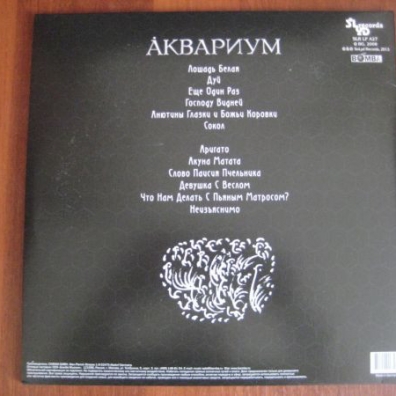 Лошадь белая Аквариум: Лошадь белая