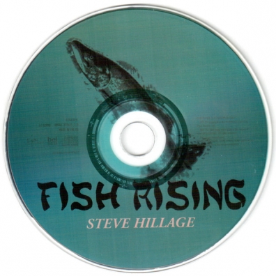 Steve Hillage (Стив Хиллидж): Fish Rising