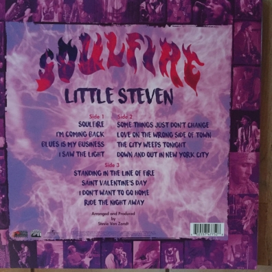 Little Steven (Стивен Ван Зандт): Soulfire