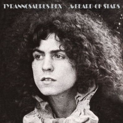 A Beard Of Stars T. Rex: A Beard Of Stars
