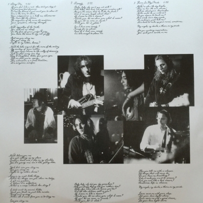 The Southern Harmony And Musical Companion The Black Crowes (Зе Блэк Кровес): The Southern Harmony And Musical Companion