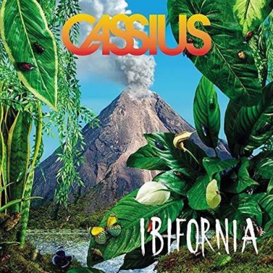 Ibifornia Cassius: Ibifornia