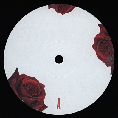 Lana Del Rey (Лана Дель Рей): Born To Die