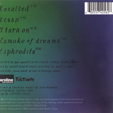 Rock N Roll Consciousness Thurston Moore (Тёрстон Мур): Rock N Roll Consciousness