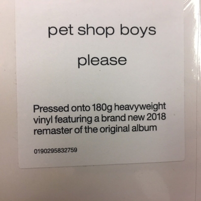 Pet Shop Boys (Пет Шоп Бойс): Please