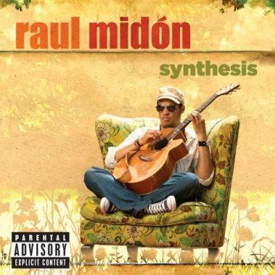 Raul Midon (Рауль Мидон): Synthesis