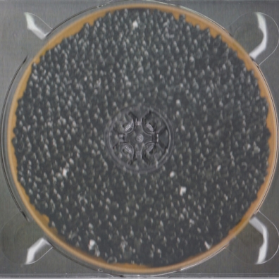 Ikra Slim (Слим): Ikra